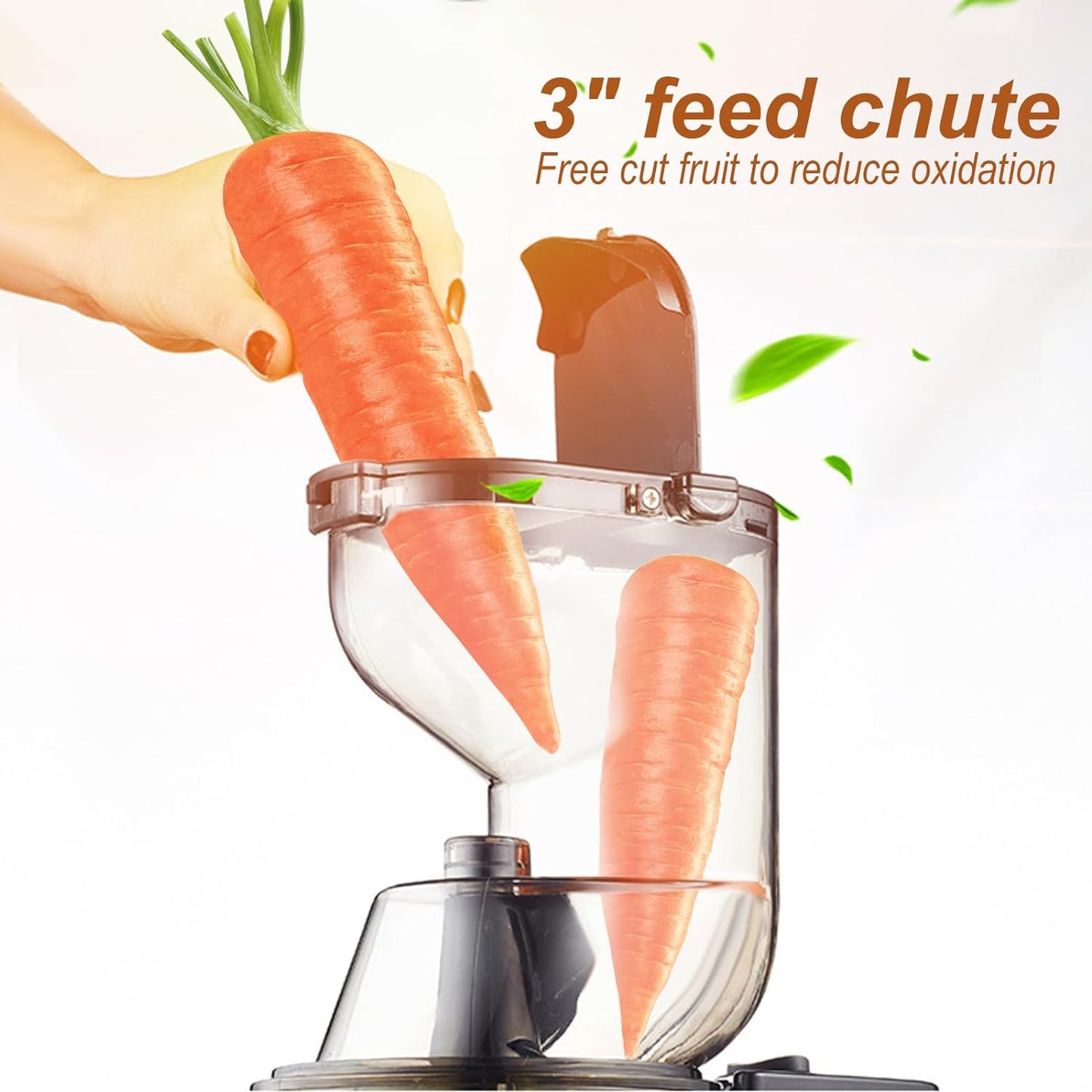300W Slow Masticating Juice